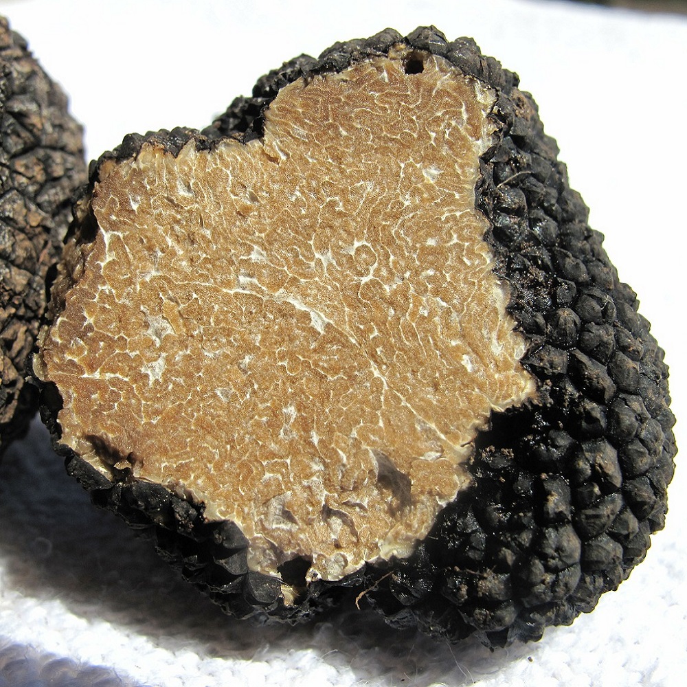 truffle-203031_1280.jpg