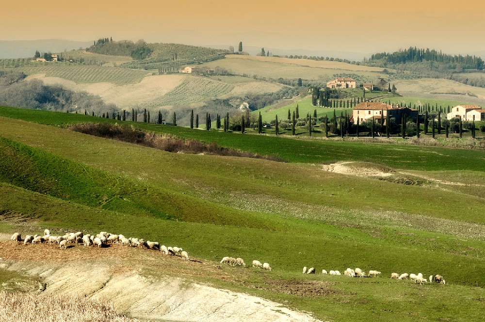 CRETE SENESI - AGRITURISMO PODERNUOVO