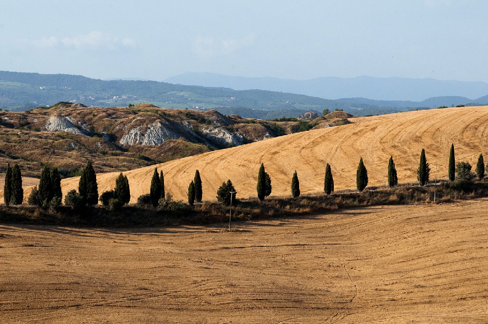 CRETE SENESI - AGRITURISMO PODERNUOVO