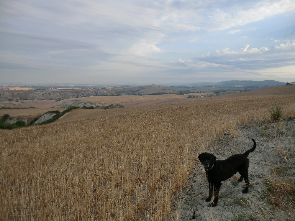 nostra storia_10-min